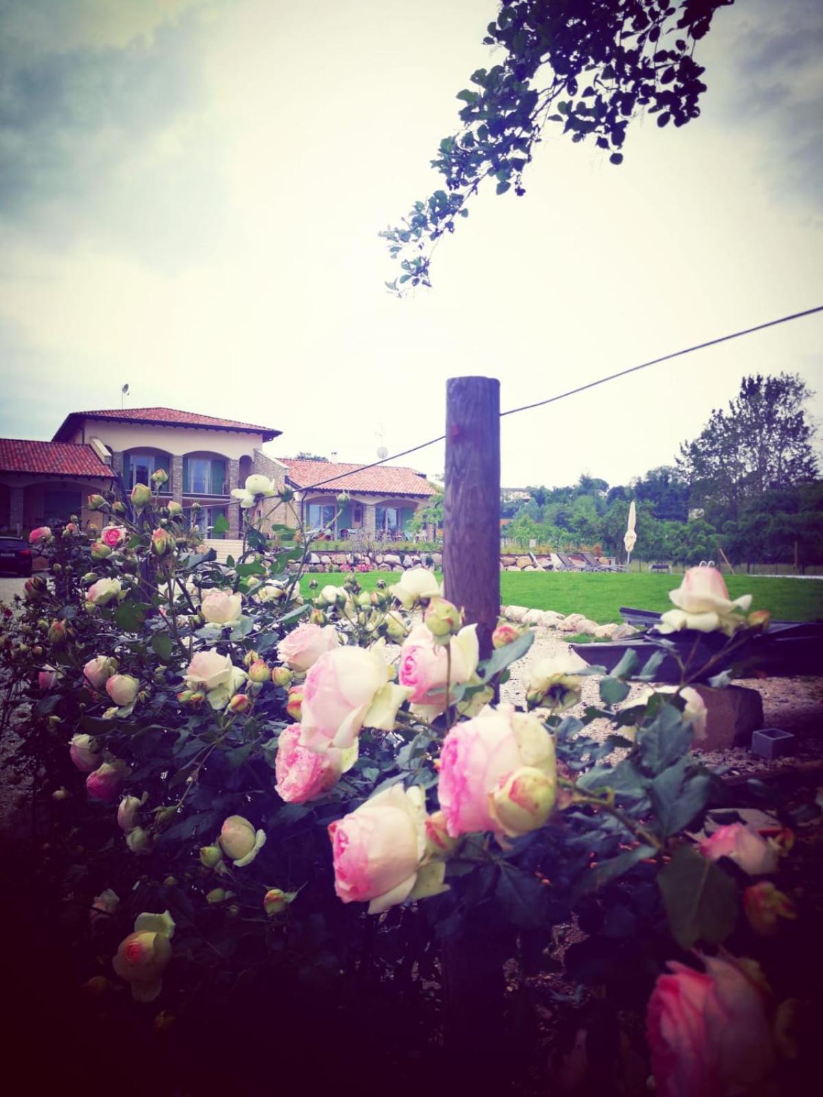Orchidea Del Garda Rooms & Apartments Πεσκιέρα ντελ Γκάρντα Εξωτερικό φωτογραφία